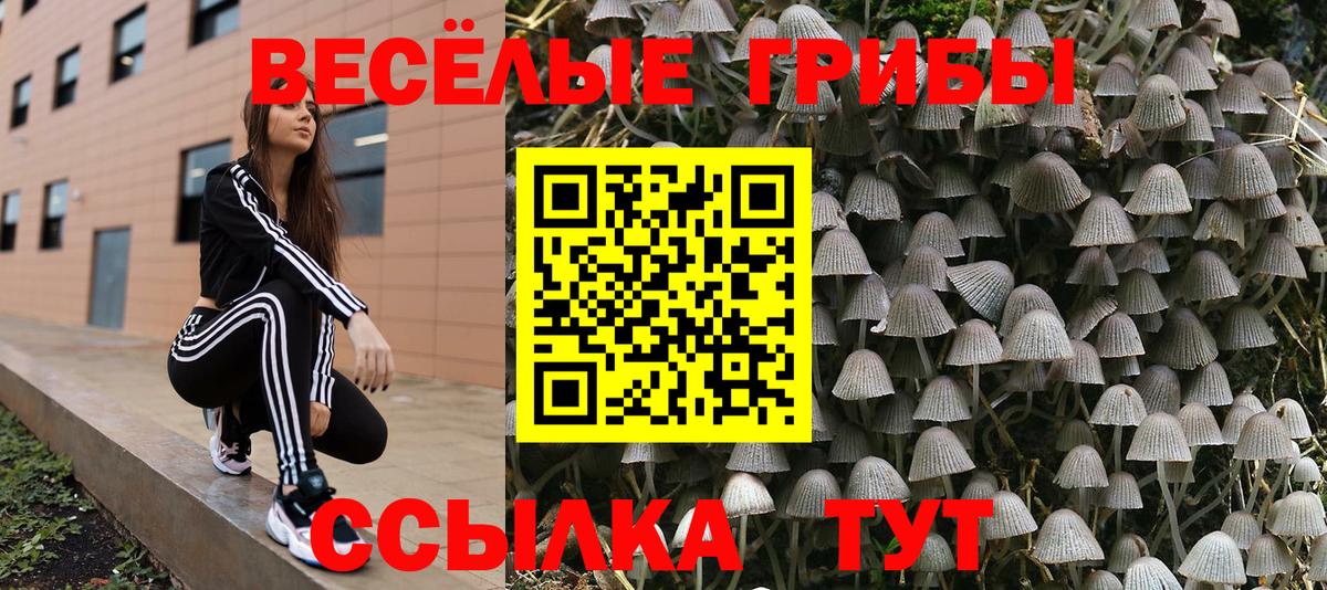Псилоцибиновые грибы прущие грибы Скопин