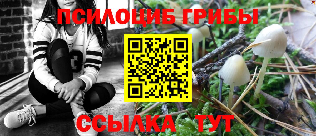 Псилоцибиновые грибы GOLDEN TEACHER  Галлюциногенные грибы прущие грибы  Вход с VPN  Скопин 